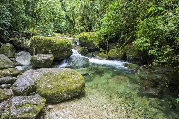 Hermosa agua clara del río Rainforest — Foto de Stock