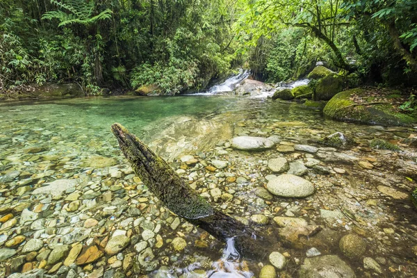 Hermosa agua clara del río Rainforest — Foto de Stock