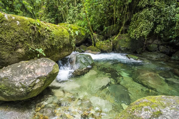 Bela água limpa do rio Rainforest — Fotografia de Stock