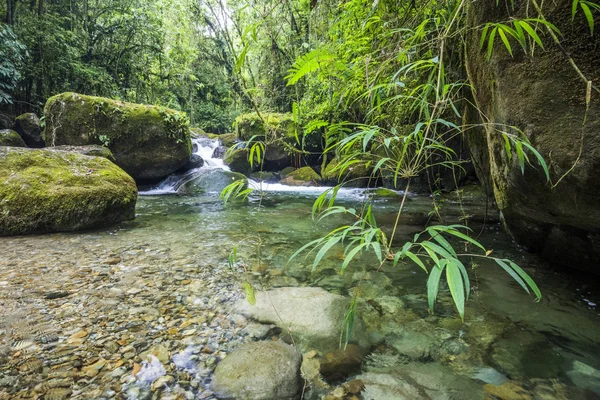 Yağmur ormanları Nehri'nin güzel temiz su — Stok fotoğraf