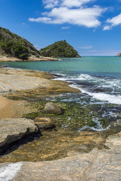 Spiaggia tropicale con vegetazione Restinga — Foto Stock