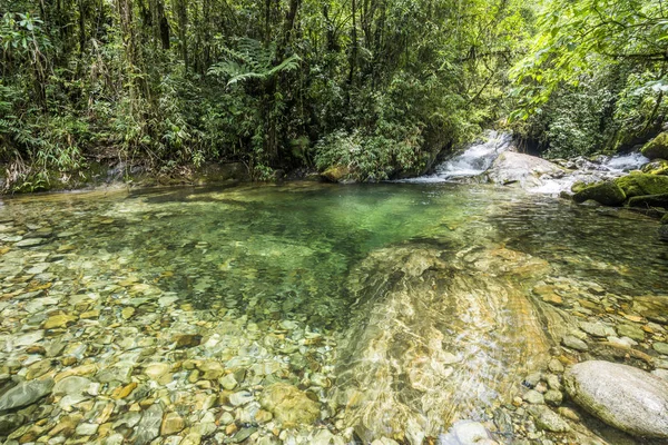 Hermosa agua clara del río Rainforest — Foto de Stock