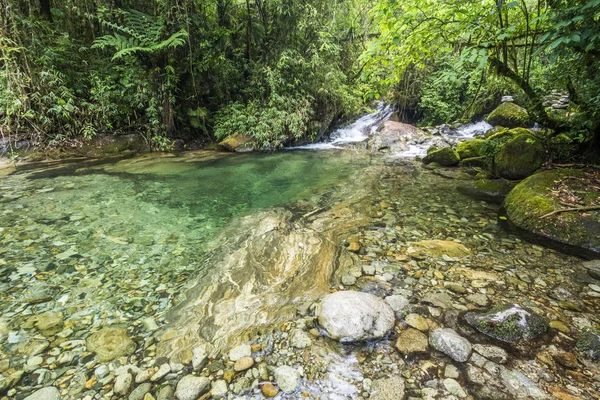 Bela água limpa do rio Rainforest — Fotografia de Stock