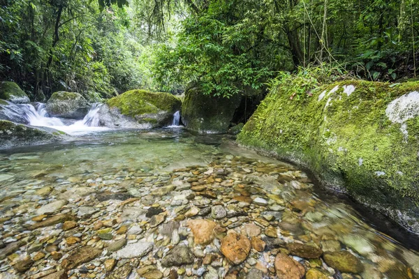 Bela água limpa do rio Rainforest — Fotografia de Stock
