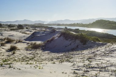 Kum tepeleri Guarda do Embau Beach, Santa Catarina State, Güney Brezilya