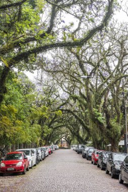 BRAZIL, NOVEMBER 2017: Rua Padre Chagas in Moinhos District, Porto Alegre, Rio Grande do Sul, Brazil