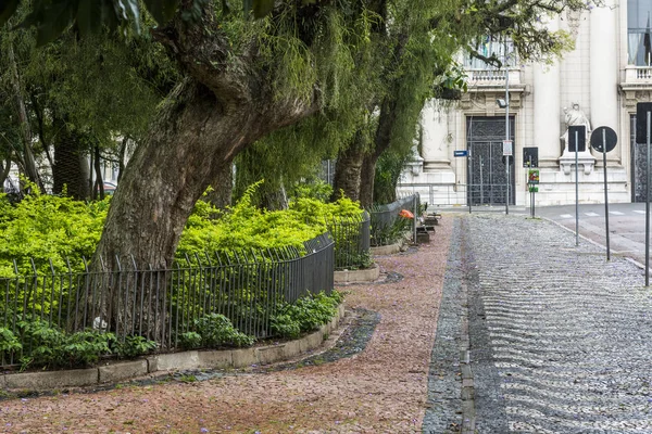 Plac Matriz Centrum Porto Alegre Rio Grande Sul Brazylia — Zdjęcie stockowe