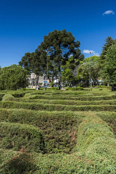 Green Labyrinth Nova Petropolis Rio Grande Sul State South Brazil — Stock Photo, Image