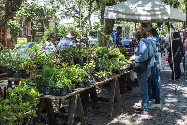 Βραζιλία Νοέμβριος 2017 Φυτά Για Πώληση Στο Farroupilha Park Πόρτο — Φωτογραφία Αρχείου