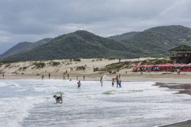 Brezilya, Kasım 2017: Joaquina Beach, Florianopolis, Santa Catarina Adası, Güney Brezilya