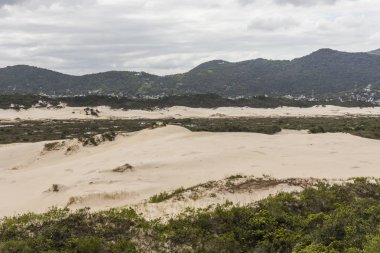 Kum tepeleri Joaquina Beach, Florianopolis, Santa Catarina Adası, Güney Brezilya