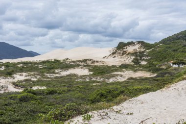 Kum tepeleri Joaquina Beach, Florianopolis, Santa Catarina Adası, Güney Brezilya