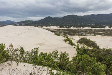 Kum tepeleri Joaquina Beach, Florianopolis, Santa Catarina Adası, Güney Brezilya