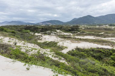 Kum tepeleri Joaquina Beach, Florianopolis, Santa Catarina Adası, Güney Brezilya