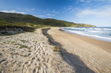Lagoinha mı Leste Beach Florianopolis, Santa Catarina Adası, Güney Brezilya