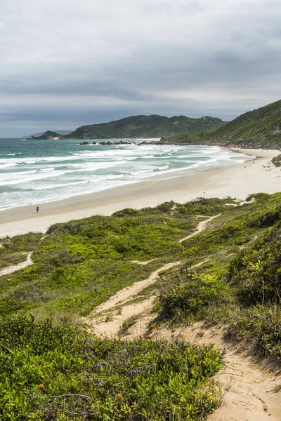 Vista Playa Galheta Florianopolis Isla Santa Catarina Sur Brasil — Foto de Stock