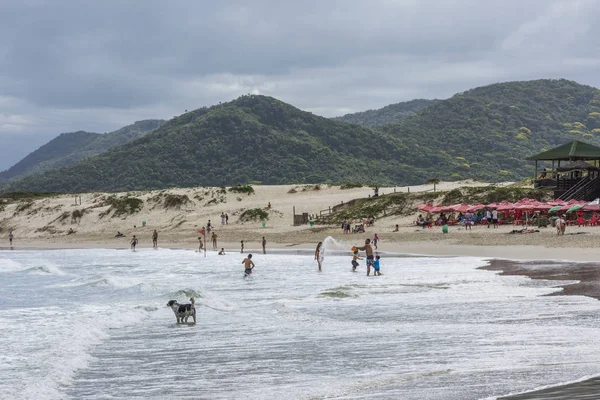 Базил Ноябрь 2017 Года Пляж Хоакина Остров Санта Катарина Южная — стоковое фото