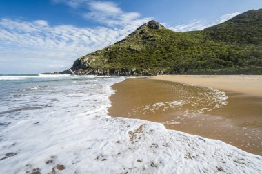 Lagoinha mı Leste Beach Florianopolis, Santa Catarina Adası, Güney Brezilya