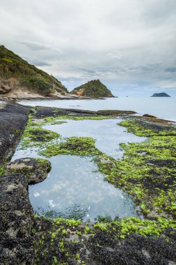 Kayalık yan Rasa Beach Atlantik Okyanusu Armacao DOS Buzios, Rio de Janeiro, Brezilya tarafından