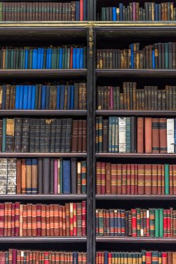 Büyük kütüphane raflarında gerçek Gabinete Portekiz kitaplarda dolu ile