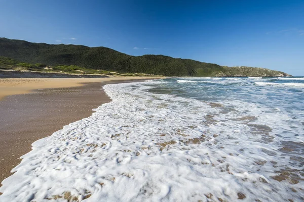 Lagoinha Leste Beach Florianopolis Ostrově Santa Catarina Brazílie Jižní — Stock fotografie