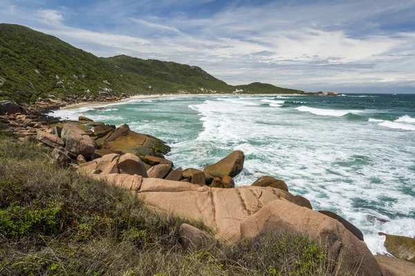 Vista Para Praia Galheta Florianópolis Ilha Santa Catarina Sul Brasil — Fotografia de Stock