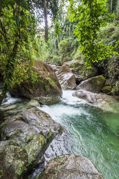 Hermoso Río Con Agua Verde Selva Atlántica Serrinha Alambari Río — Foto de Stock