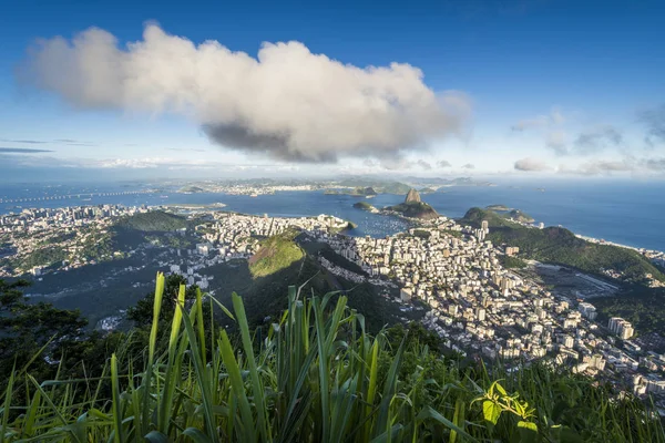 Syn Pao Acucar Sugar Loaf Mountain Från Toppen Morro Corcovado — Stockfoto