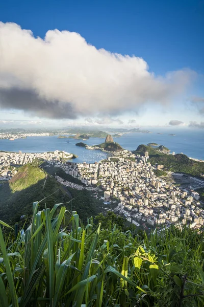 Pohled Pao Acucar Homole Cukru Horní Části Morro Atrakce Corcovado — Stock fotografie