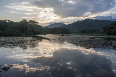 vahşi orman göl Atlantik yağmur ormanlarında, Rio de Janeiro Guapiacu, Brezilya yakınındaki kırsal görünümü