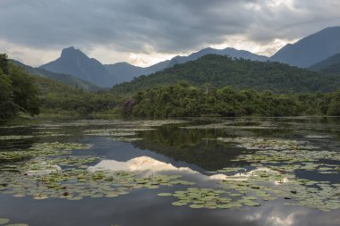 vahşi orman göl Atlantik yağmur ormanlarında, Rio de Janeiro Guapiacu, Brezilya yakınındaki kırsal görünümü