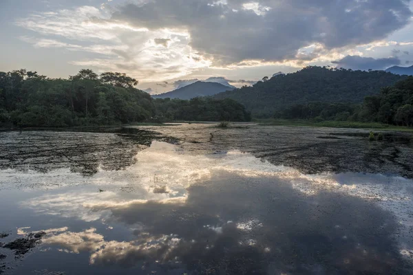 Pohled Jezero Divoké Džungle Atlantického Deštného Pralesa Krajině Rio Janeiro — Stock fotografie