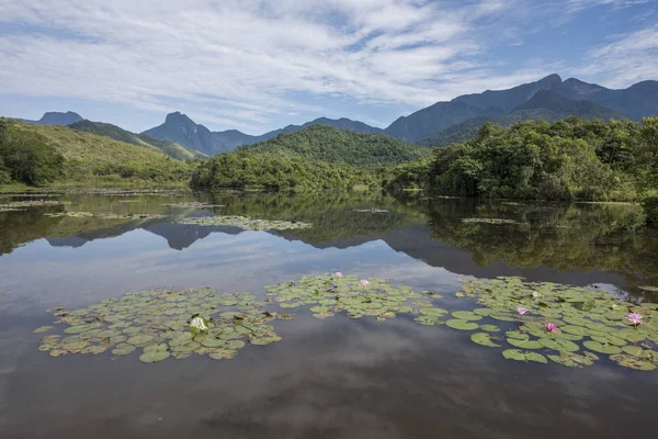 Vista Del Lago Selva Salvaje Con Montañas Selva Atlántica Campo — Foto de Stock