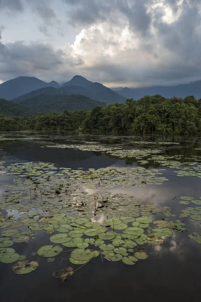 Pohled Jezero Divoké Džungle Atlantického Deštného Pralesa Krajině Rio Janeiro — Stock fotografie