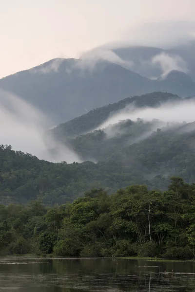 Nubes Rodando Por Las Montañas Con Clima Brumoso Selva Tropical — Foto de Stock