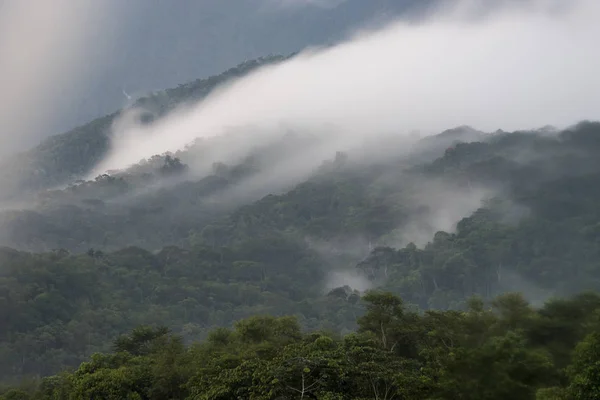 Clouds rolling down the mountains on a misty weather in the Atlantic Rainforest near Guapiacu, countryside of Rio de Janeiro, Brazil
