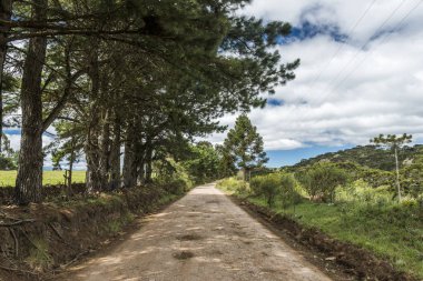  Rio Grande Sul devlet, Güney Brezilya