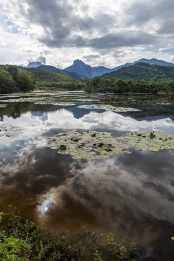 Atlantik Rainforest manzara