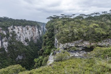  Rio Grande Sul devlet, Güney Brezilya