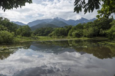 Atlantik Rainforest manzara