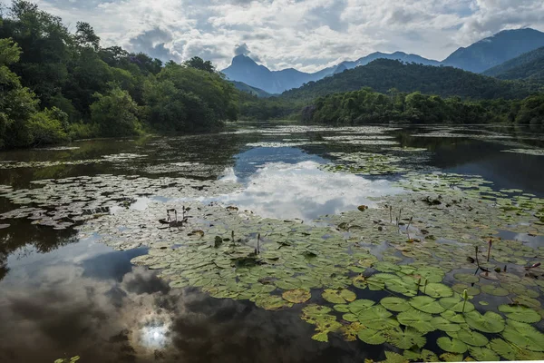 Atlantregnskogen landskap — Stockfoto