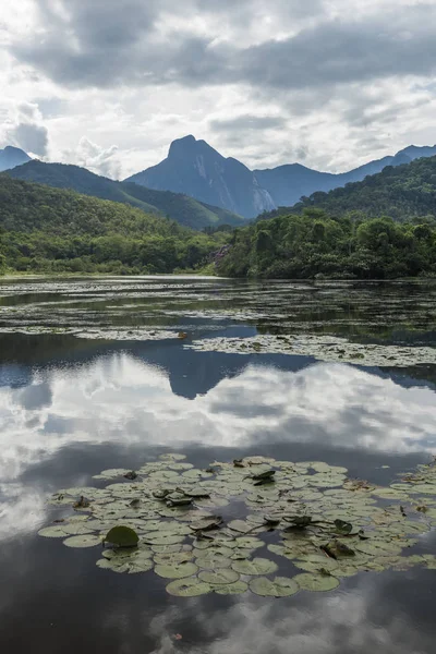 Bosque lluvioso Atlántico paisaje — Foto de Stock