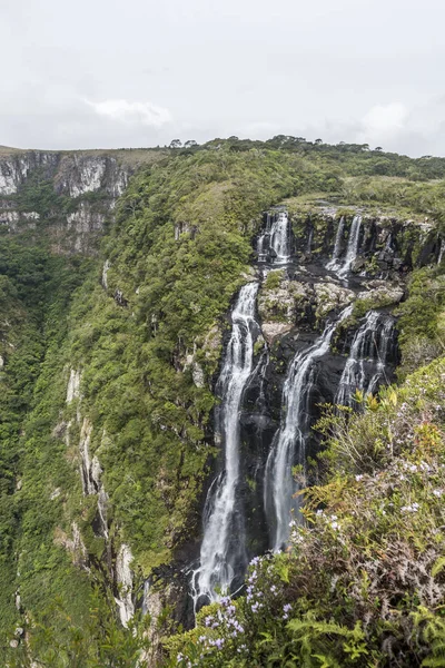 Vista para Fortaleza Canyon — Fotografia de Stock