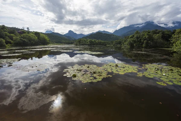 Bosque lluvioso Atlántico paisaje — Foto de Stock