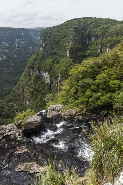 Vista para Fortaleza Canyon — Fotografia de Stock