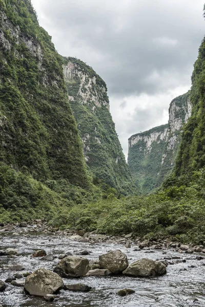 Selva tropical atlántica dentro del cañón de Itaimbezinho — Foto de Stock