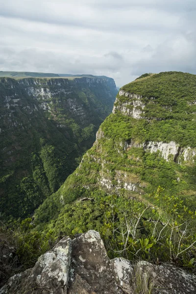 Vista para Fortaleza Canyon — Fotografia de Stock