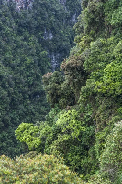 Rio Grande do Sul State, Brasile meridionale — Foto Stock