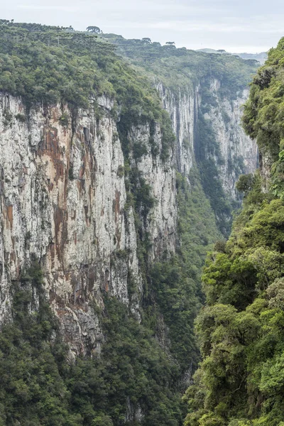 Rio Grande do Sul állam Dél-Brazília — Stock Fotó