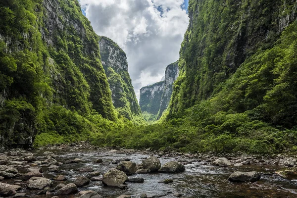 Atlantischer Regenwald im Canyon von itaimbezinho — Stockfoto